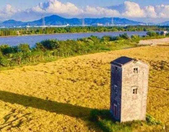 乡村旅游:中山陆泉沙农业生态园