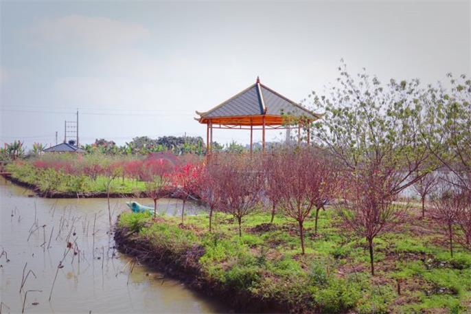 <a href=http://www.lexiangyou.org/xiangcunlvyou/ target=_blank class=infotextkey>乡村旅游</a>：南朗镇新凤凰水乡生态园