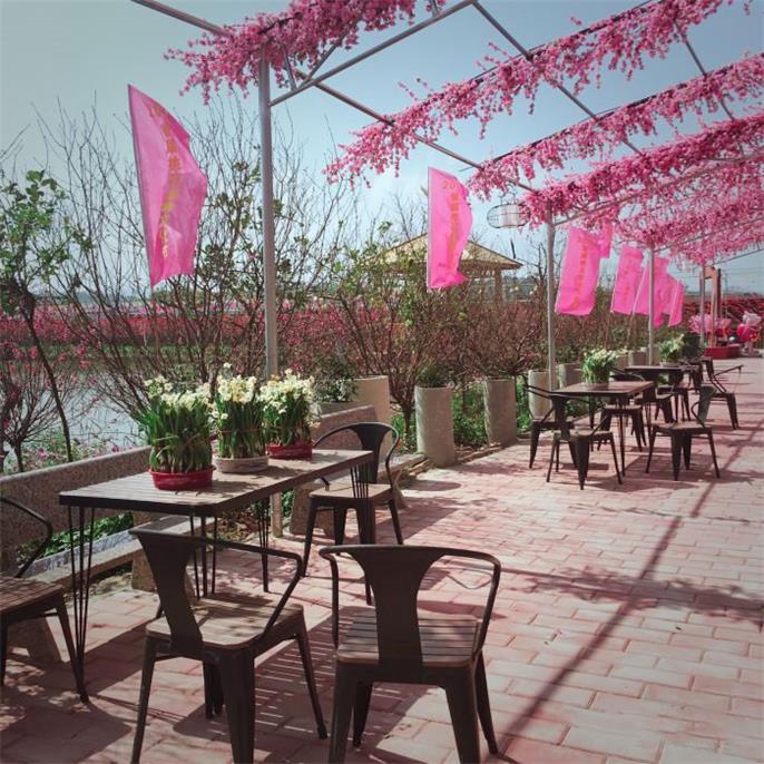 <a href=http://www.lexiangyou.org/xiangcunlvyou/ target=_blank class=infotextkey>乡村旅游</a>：南朗镇新凤凰水乡生态园