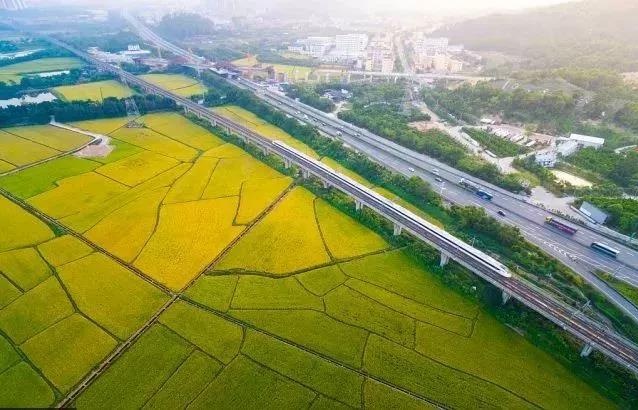 <a href=http://www.lexiangyou.org/xiangcunlvyou/ target=_blank class=infotextkey>乡村旅游</a>：中山左步村系历史文化古村，藏着一个童话的秋天