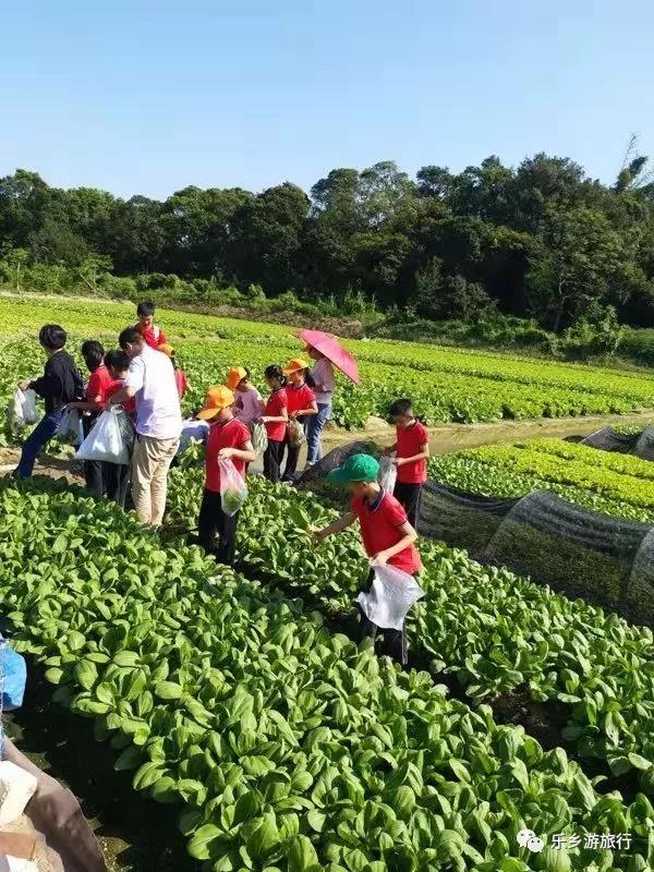 <a href=http://www.lexiangyou.org/xiangcunlvyou/ target=_blank class=infotextkey>乡村旅游</a>：中山左步村系历史文化古村，藏着一个童话的秋天