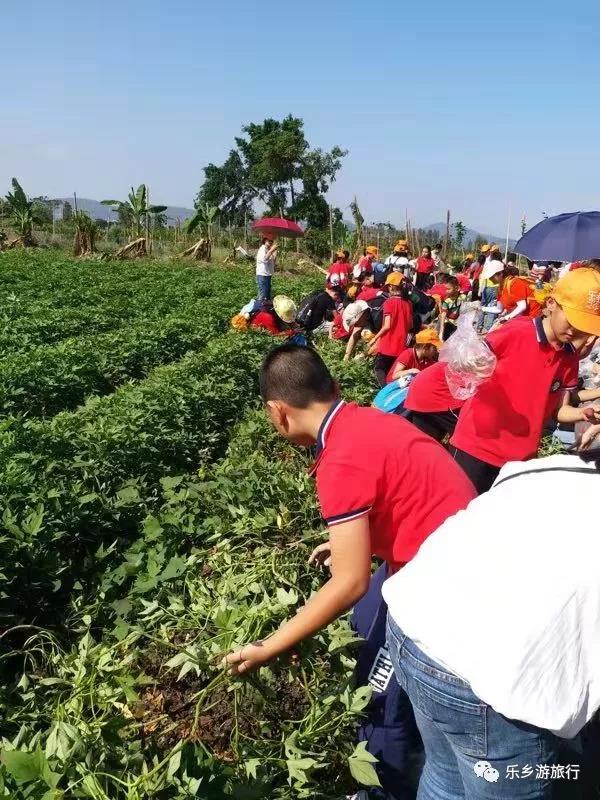 <a href=http://www.lexiangyou.org/xiangcunlvyou/ target=_blank class=infotextkey>乡村旅游</a>：中山左步村系历史文化古村，藏着一个童话的秋天