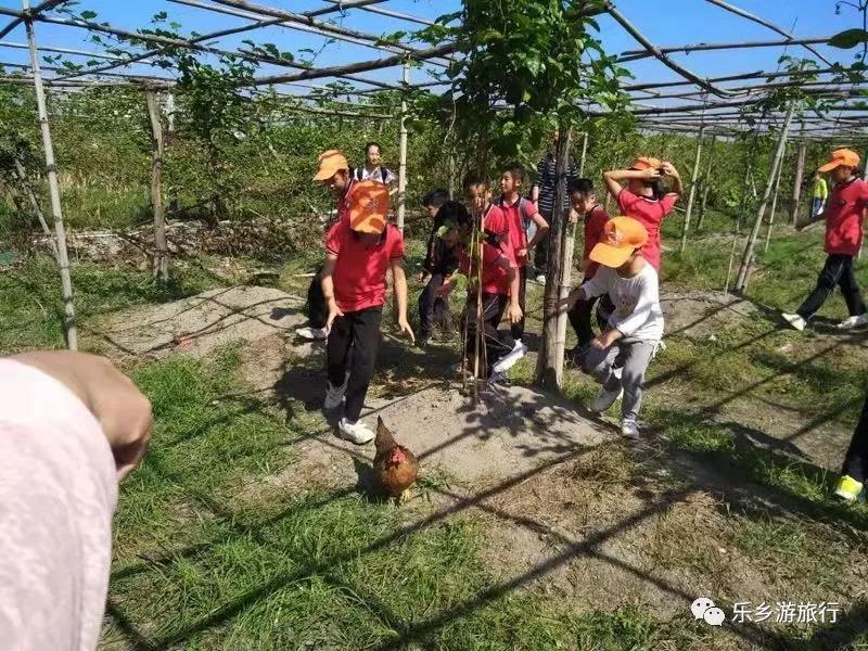 <a href=http://www.lexiangyou.org/xiangcunlvyou/ target=_blank class=infotextkey>乡村旅游</a>：中山左步村系历史文化古村，藏着一个童话的秋天