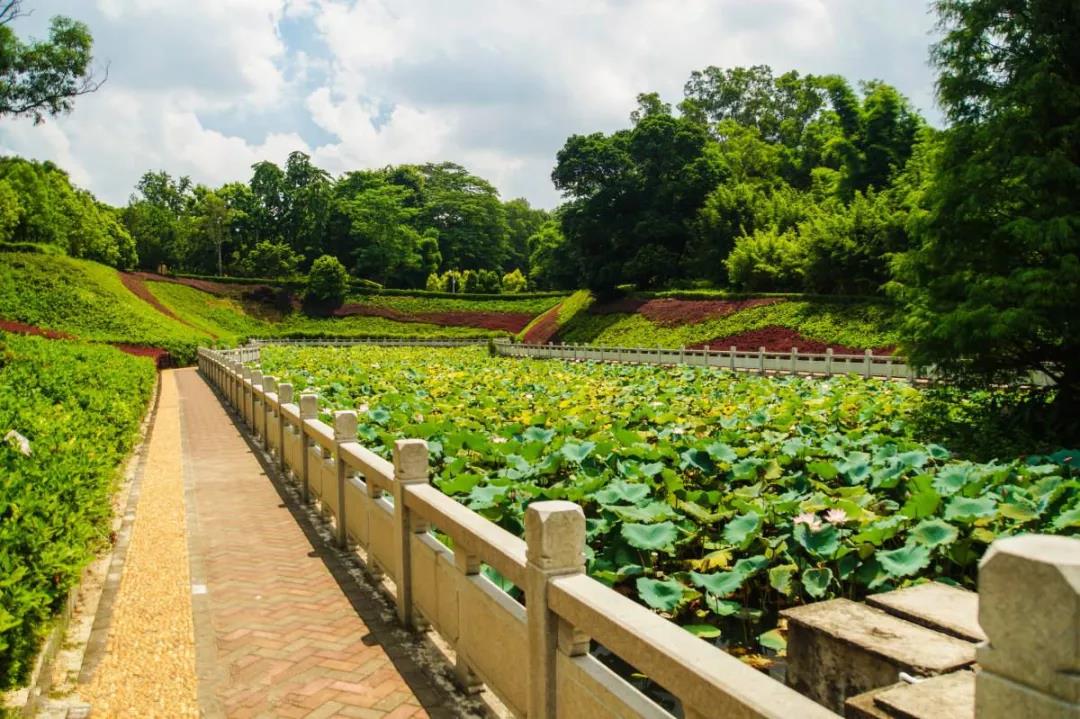 <a href=http://www.lexiangyou.org/xiangcunlvyou/ target=_blank class=infotextkey>乡村旅游</a>：中山山水游，置身于森林大氧吧