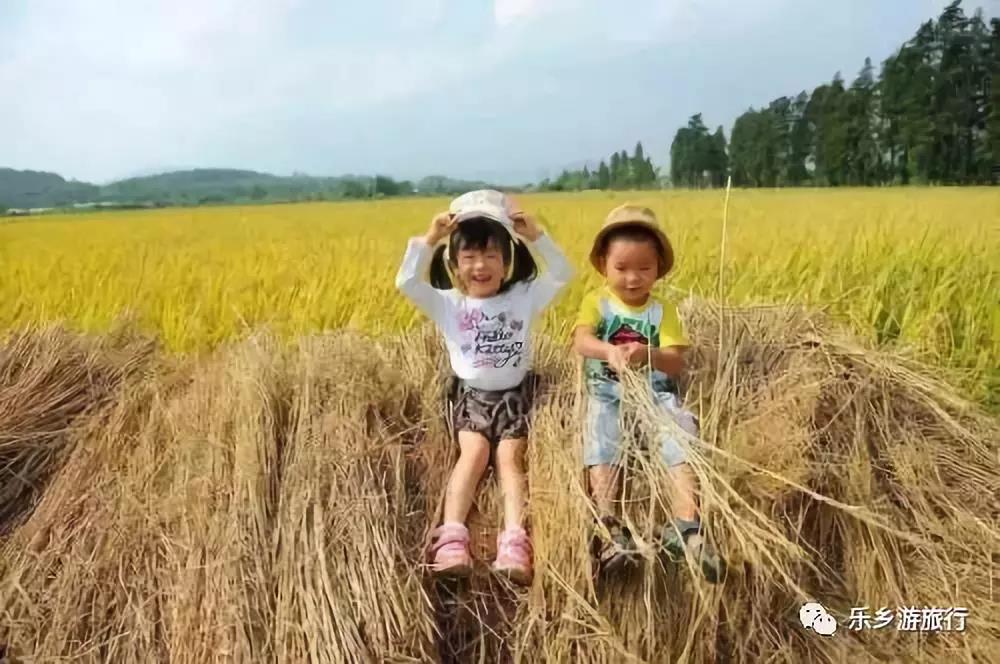 <a href=http://www.lexiangyou.org/xiangcunlvyou/ target=_blank class=infotextkey>乡村旅游</a>：中山左步村系历史文化古村，藏着一个童话的秋天