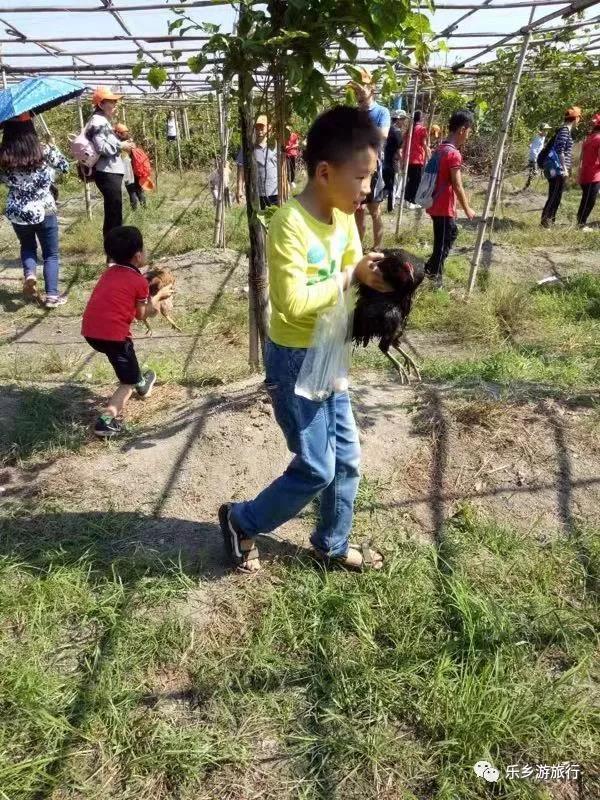 <a href=http://www.lexiangyou.org/xiangcunlvyou/ target=_blank class=infotextkey>乡村旅游</a>：中山左步村系历史文化古村，藏着一个童话的秋天