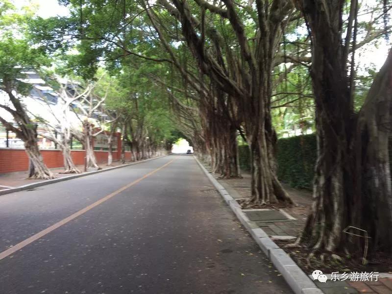 <a href=http://www.lexiangyou.org/xiangcunlvyou/ target=_blank class=infotextkey>乡村旅游</a>：在崖口乡村寻找一种更好的生活方式