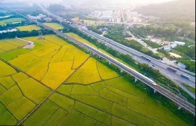 <a href=http://www.lexiangyou.org/xiangcunlvyou/ target=_blank class=infotextkey>乡村旅游</a>：南朗诗意小镇