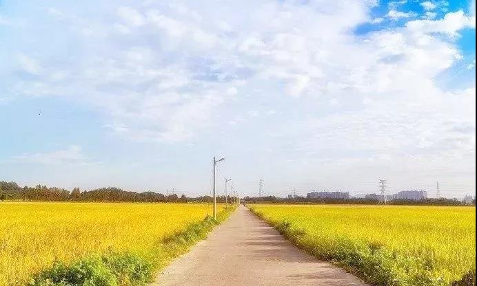 <a href=http://www.lexiangyou.org/xiangcunlvyou/ target=_blank class=infotextkey>乡村旅游</a>：南朗诗意小镇