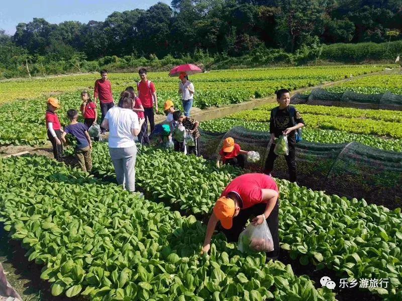 <a href=http://www.lexiangyou.org/xiangcunlvyou/ target=_blank class=infotextkey>乡村旅游</a>：在崖口乡村寻找一种更好的生活方式
