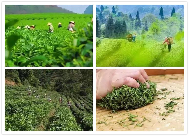  <a href=http://www.lexiangyou.org/xiangcunlvyou/ target=_blank class=infotextkey>乡村旅游</a>：在大尖山露营公园来一次放飞身心的露营吧