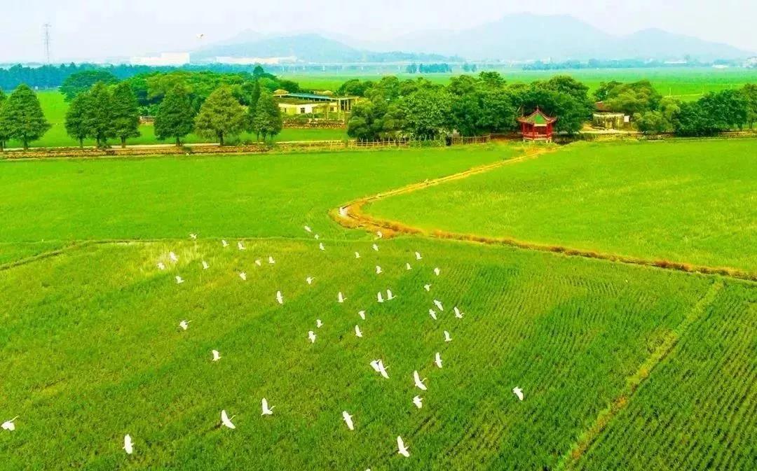 <a href=http://www.lexiangyou.org/xiangcunlvyou/ target=_blank class=infotextkey>乡村旅游</a>：南朗诗意小镇
