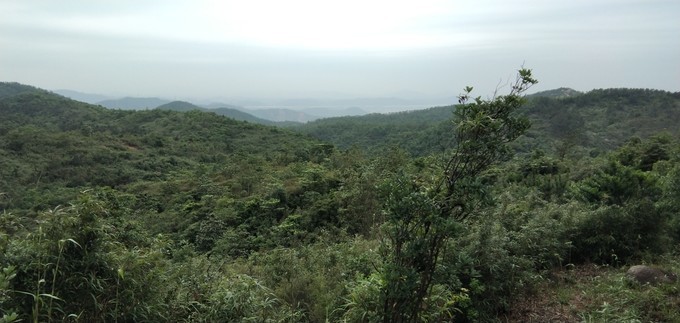 五桂山山峰a