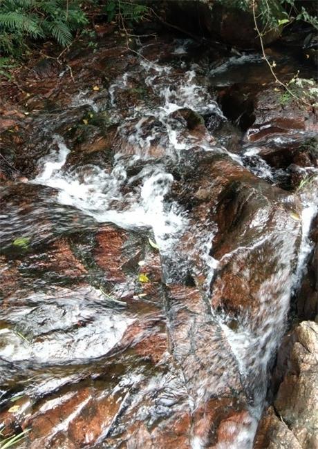 <a href=http://www.lexiangyou.org/xiangcunlvyou/ target=_blank class=infotextkey>乡村旅游</a>：中山五桂山的一条极美线路