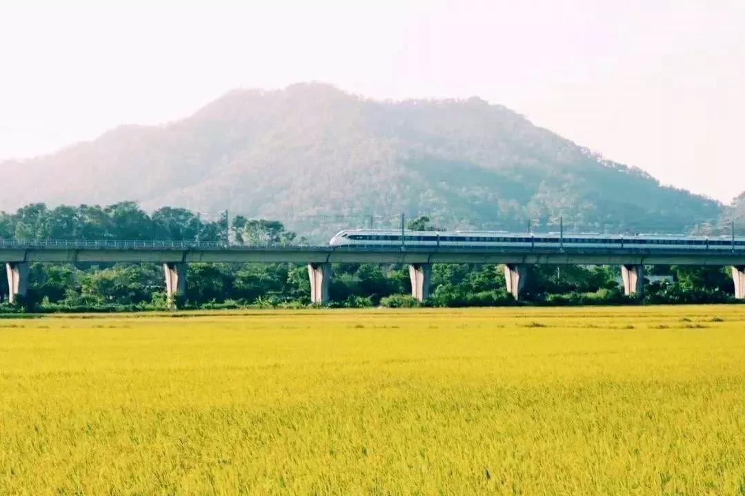 <a href=http://www.lexiangyou.org/xiangcunlvyou/ target=_blank class=infotextkey>乡村旅游</a>：欣赏崖口候鸟，品尝地道美食，入住网红民宿