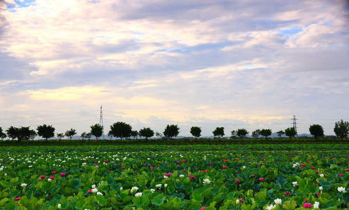 <a href=http://www.lexiangyou.org/xiangcunlvyou/ target=_blank class=infotextkey>乡村旅游</a>:中山崖口村一日游
