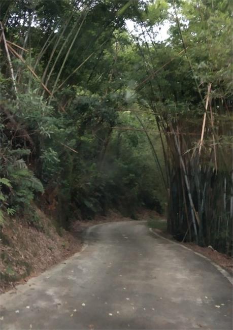 <a href=http://www.lexiangyou.org/xiangcunlvyou/ target=_blank class=infotextkey>乡村旅游</a>：中山五桂山的一条极美线路