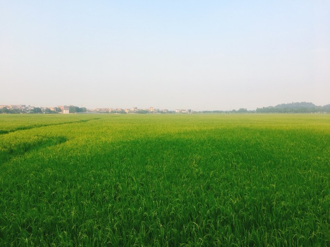 <a href=http://www.lexiangyou.org/xiangcunlvyou/ target=_blank class=infotextkey>乡村旅游</a>：崖口与中山温泉游