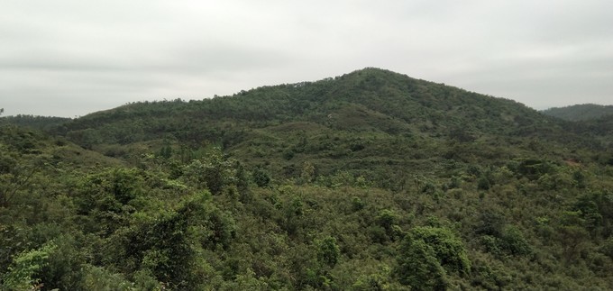 <a href=http://www.lexiangyou.org/xiangcunlvyou/ target=_blank class=infotextkey>乡村旅游</a>：中山五桂山的一条极美线路