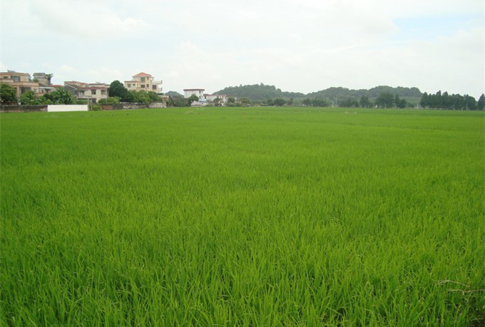 <a href=http://www.lexiangyou.org/xiangcunlvyou/ target=_blank class=infotextkey>乡村旅游</a>:中山崖口村一日游