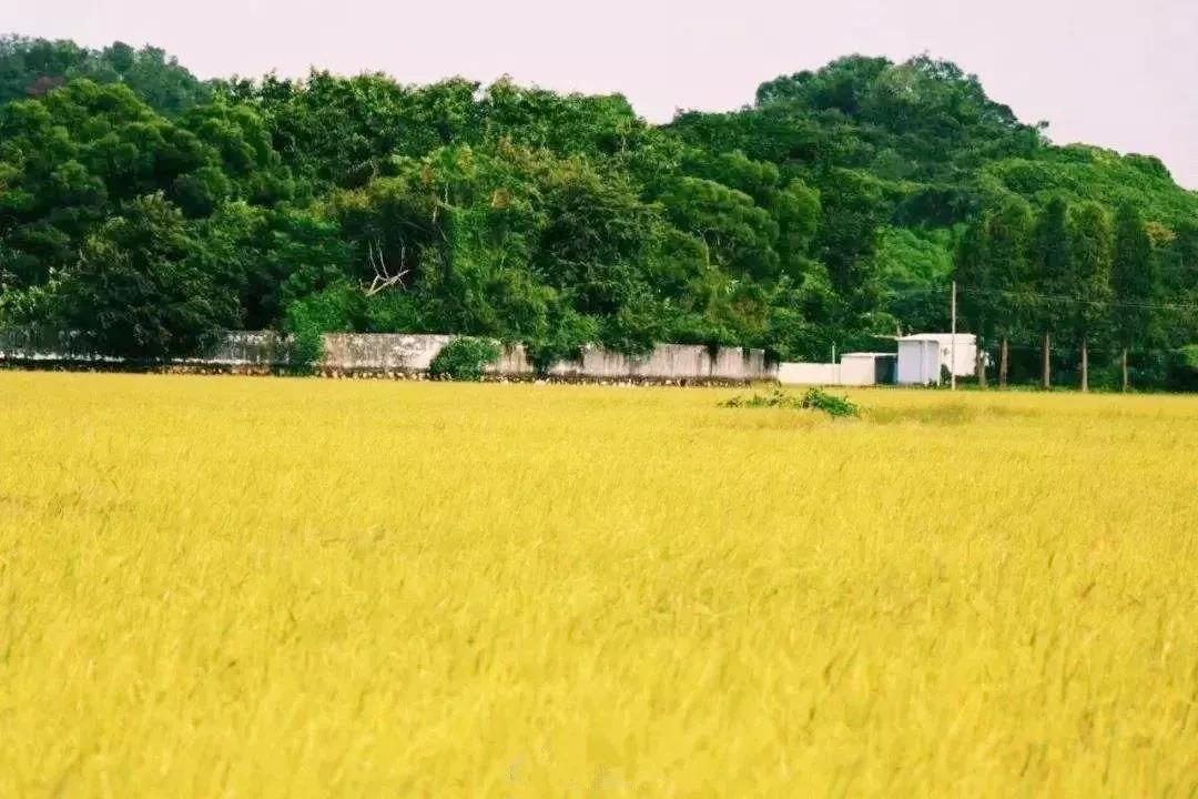 <a href=http://www.lexiangyou.org/xiangcunlvyou/ target=_blank class=infotextkey>乡村旅游</a>：欣赏崖口候鸟，品尝地道美食，入住网红民宿