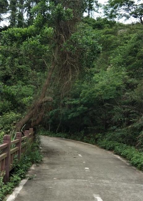<a href=http://www.lexiangyou.org/xiangcunlvyou/ target=_blank class=infotextkey>乡村旅游</a>：中山五桂山的一条极美线路