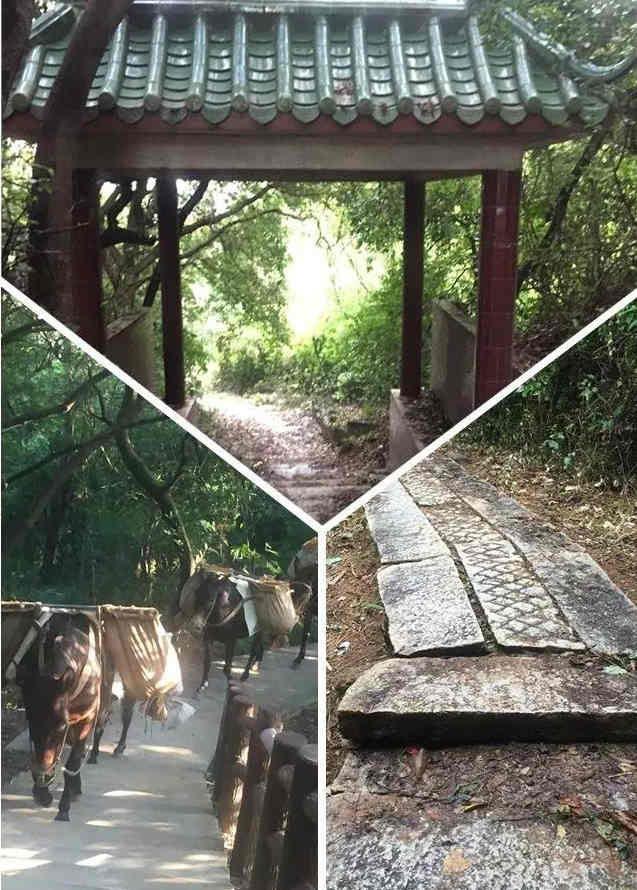 <a href=http://www.lexiangyou.org/xiangcunlvyou/ target=_blank class=infotextkey>乡村旅游</a>：黄圃有个古村，是大隐于市的岭南建筑活化石