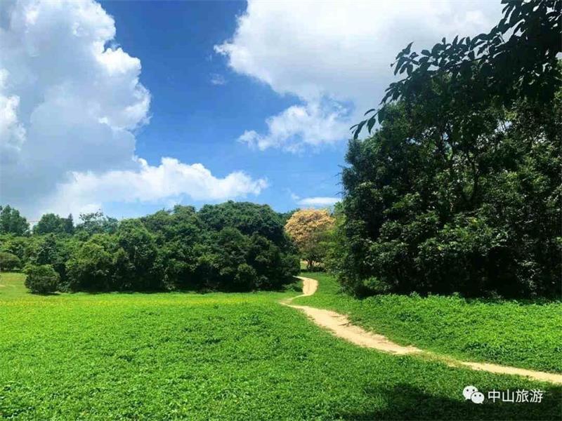<a href=http://www.lexiangyou.org/xiangcunlvyou/ target=_blank class=infotextkey>乡村旅游</a>：紫马岭公园的金黄花海别错过，快过来围观