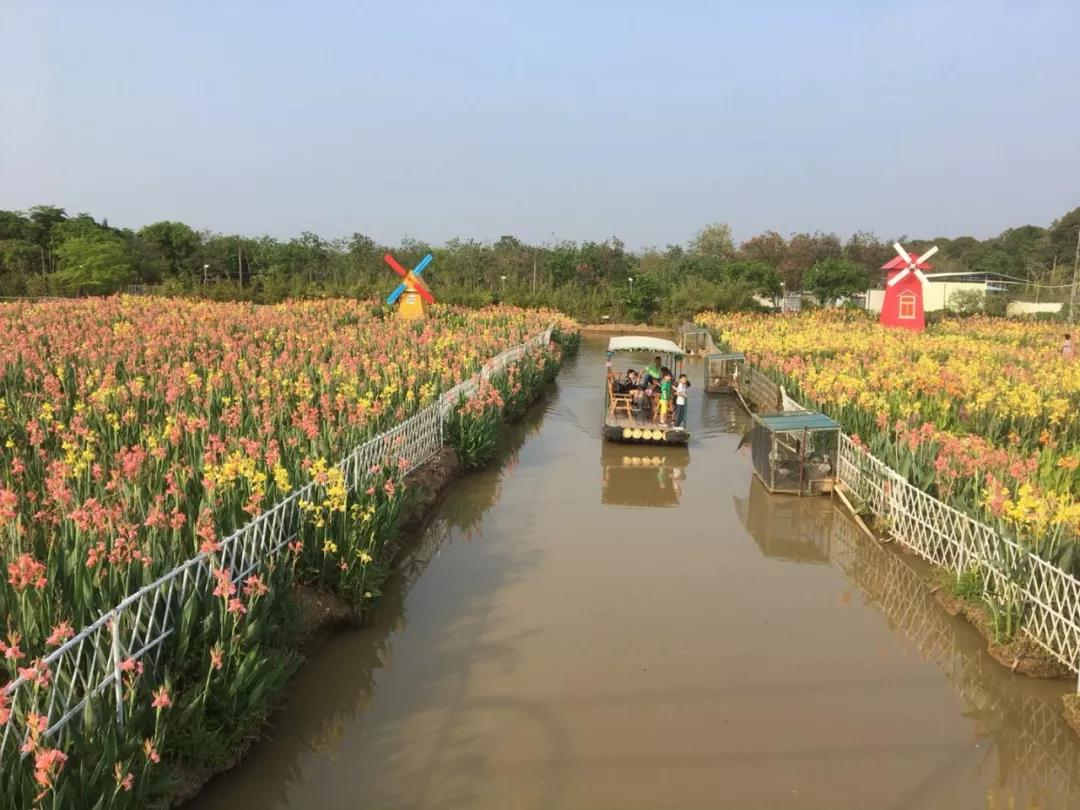 <a href=http://www.lexiangyou.org/xiangcunlvyou/ target=_blank class=infotextkey>乡村旅游</a>：酷酷乐奇果丛林，一场美好的<a href=http://www.lexiangyou.org/xiangcunlvyou/ target=_blank class=infotextkey>乡村旅游</a>