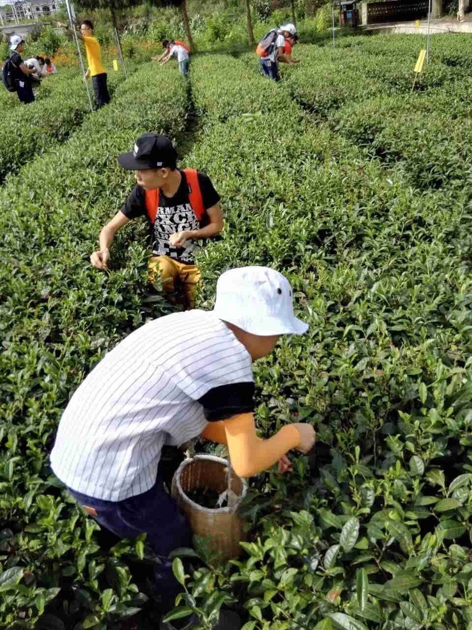 <a href=http://www.lexiangyou.org/xiangcunlvyou/ target=_blank class=infotextkey>乡村旅游</a>：酷酷乐奇果丛林，一场美好的<a href=http://www.lexiangyou.org/xiangcunlvyou/ target=_blank class=infotextkey>乡村旅游</a>