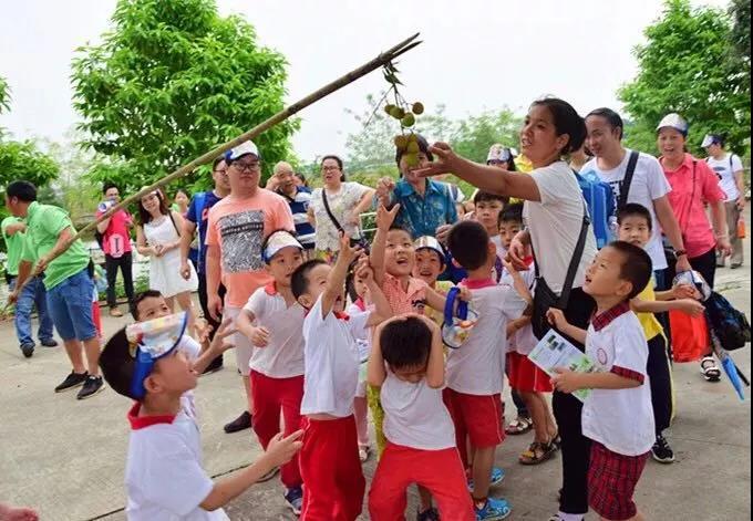 <a href=http://www.lexiangyou.org/xiangcunlvyou/ target=_blank class=infotextkey>乡村旅游</a>：酷酷乐奇果丛林，一场美好的<a href=http://www.lexiangyou.org/xiangcunlvyou/ target=_blank class=infotextkey>乡村旅游</a>