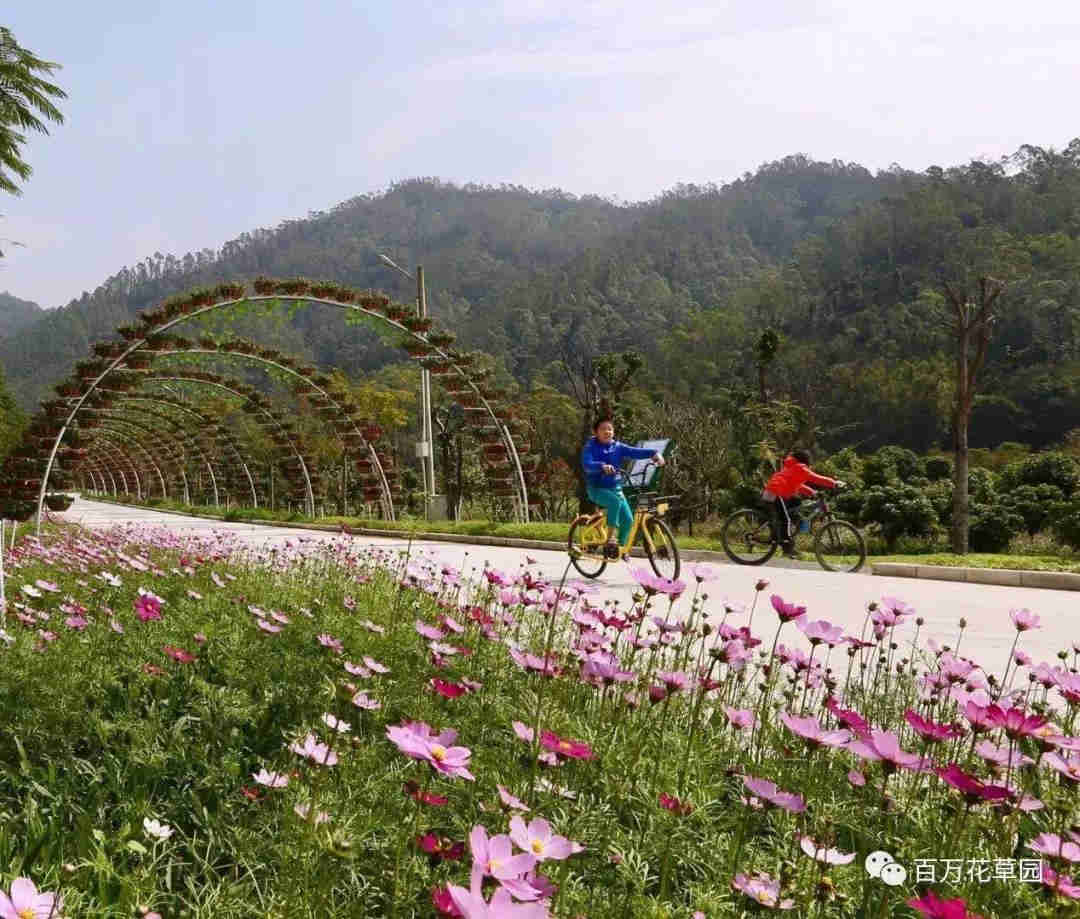<a href=http://www.lexiangyou.org/xiangcunlvyou/ target=_blank class=infotextkey>乡村旅游</a>：酷酷乐奇果丛林，一场美好的<a href=http://www.lexiangyou.org/xiangcunlvyou/ target=_blank class=infotextkey>乡村旅游</a>