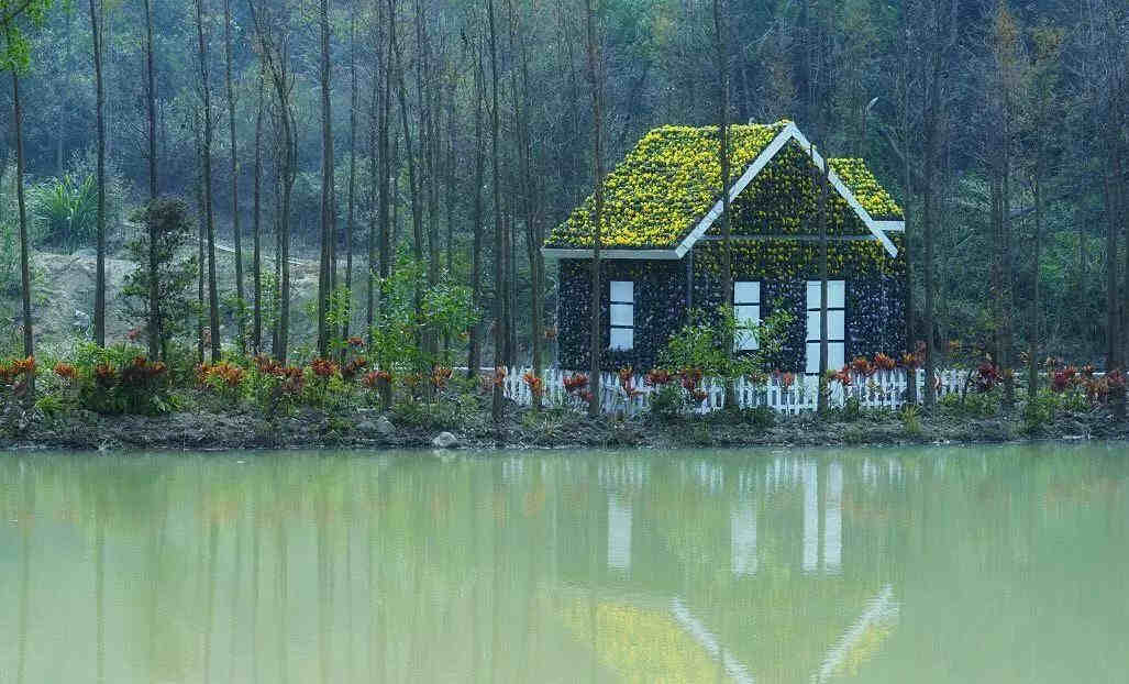 <a href=http://www.lexiangyou.org/xiangcunlvyou/ target=_blank class=infotextkey>乡村旅游</a>：酷酷乐奇果丛林，一场美好的<a href=http://www.lexiangyou.org/xiangcunlvyou/ target=_blank class=infotextkey>乡村旅游</a>