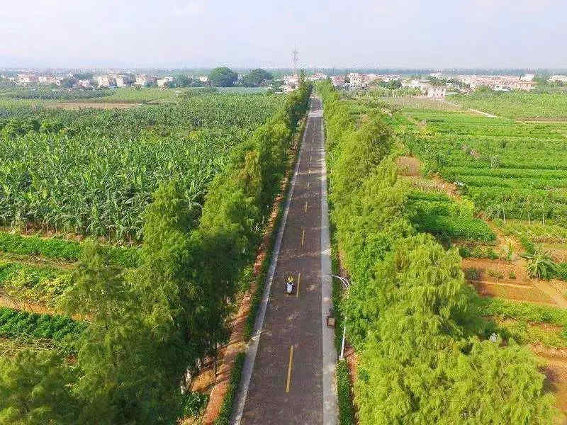 <a href=http://www.lexiangyou.org/xiangcunlvyou/ target=_blank class=infotextkey>乡村旅游</a>：岭南水乡美，义仓人更美