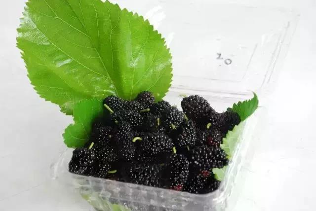 <a href=http://www.lexiangyou.org/xiangcunlvyou/ target=_blank class=infotextkey>乡村旅游</a>：世外桃源，陆泉沙农场