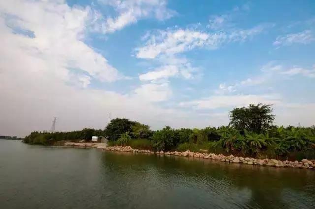 <a href=http://www.lexiangyou.org/xiangcunlvyou/ target=_blank class=infotextkey>乡村旅游</a>：世外桃源，陆泉沙农场