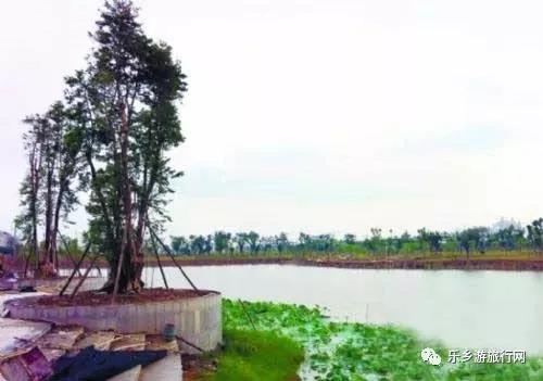 <a href=http://www.lexiangyou.org/xiangcunlvyou/ target=_blank class=infotextkey>乡村旅游</a>：下班闲暇之余不妨去去中山的这些湿地公园