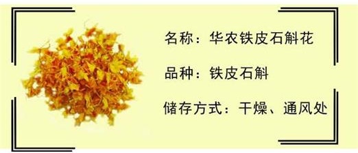 乡村旅游：南朗华农生态基地铁皮石斛花（鲜花）