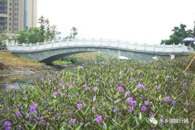  <a href=http://www.lexiangyou.org/xiangcunlvyou/ target=_blank class=infotextkey>乡村旅游</a>：下班闲暇之余不妨去去中山的这些湿地公园