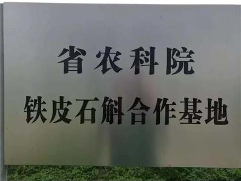 乡村旅游：南朗华农生态基地铁皮石斛花（鲜花）