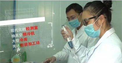 乡村旅游：南朗华农生态基地铁皮石斛花（鲜花）