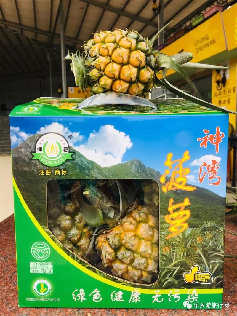  <a href=http://www.lexiangyou.org/xiangcunlvyou/ target=_blank class=infotextkey>乡村旅游</a>：神湾丫髻山菠萝种植农场一齐游玩
