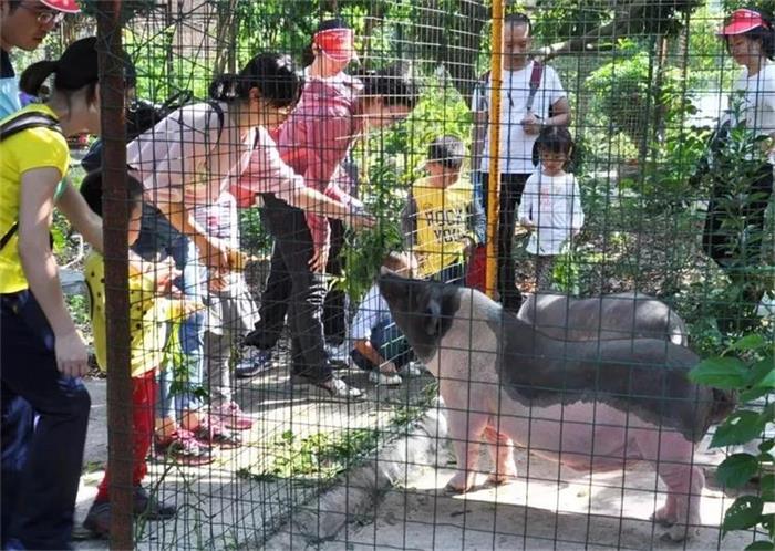  <a href=http://www.lexiangyou.org/xiangcunlvyou/ target=_blank class=infotextkey>乡村旅游</a>：桂南香山农场端午大庙会