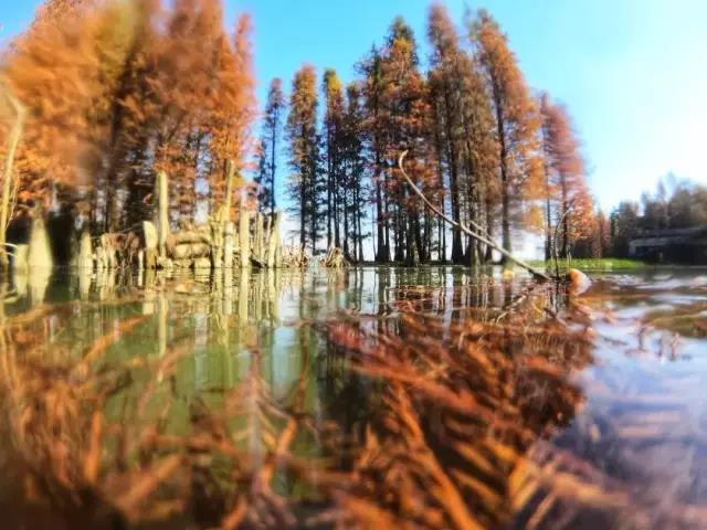 <a href=http://www.lexiangyou.org/xiangcunlvyou/ target=_blank class=infotextkey>乡村旅游</a>：中山这些网红景点免费游玩