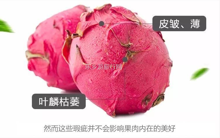 <a href=http://www.lexiangyou.org/xiangcunlvyou/ target=_blank class=infotextkey>乡村旅游</a>：【夏日套餐】欣赏果花，品尝火龙果+农家美食