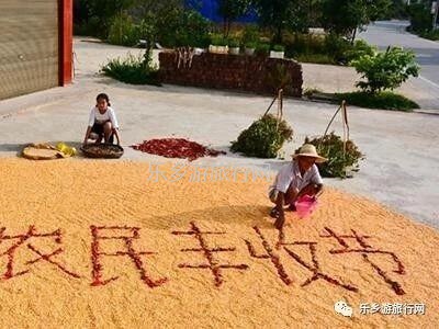 <a href=http://www.lexiangyou.org/xiangcunlvyou/ target=_blank class=infotextkey>乡村旅游</a>：采摘番石榴，体验收割稻谷的乐趣