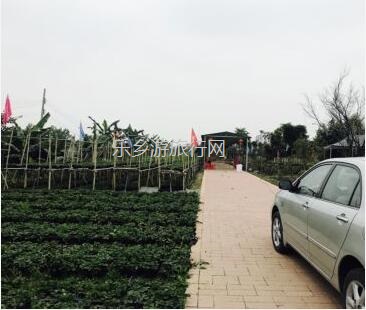 <a href=http://www.lexiangyou.org/xiangcunlvyou/ target=_blank class=infotextkey>乡村旅游</a>：亲子共欢乐，绿水清江休闲游