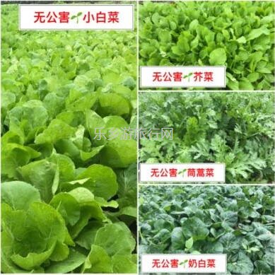 <a href=http://www.lexiangyou.org/xiangcunlvyou/ target=_blank class=infotextkey>乡村旅游</a>：亲子共欢乐，绿水清江休闲游