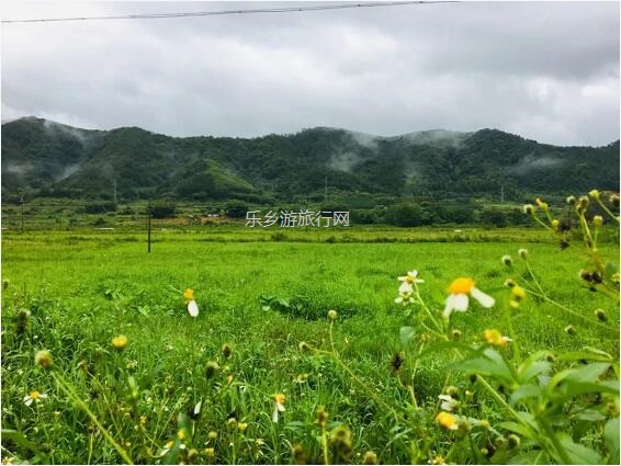 <a href=http://www.lexiangyou.org/xiangcunlvyou/ target=_blank class=infotextkey>乡村旅游</a>:【蜜桃熟啦】果形端美,肉质脆嫩,清甜爽口