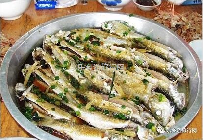 <a href=http://www.lexiangyou.org/xiangcunlvyou/ target=_blank class=infotextkey>乡村旅游</a>：出海啦！体验君临珠江口+伶仃洋的豪迈，即时品尝美味海鲜